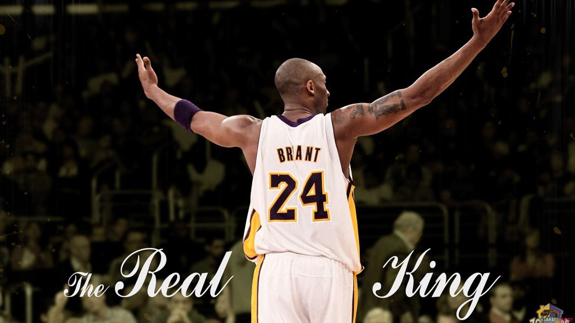 开云体育官网登入-CBA球员展现职业风范与担当，cba球队球员