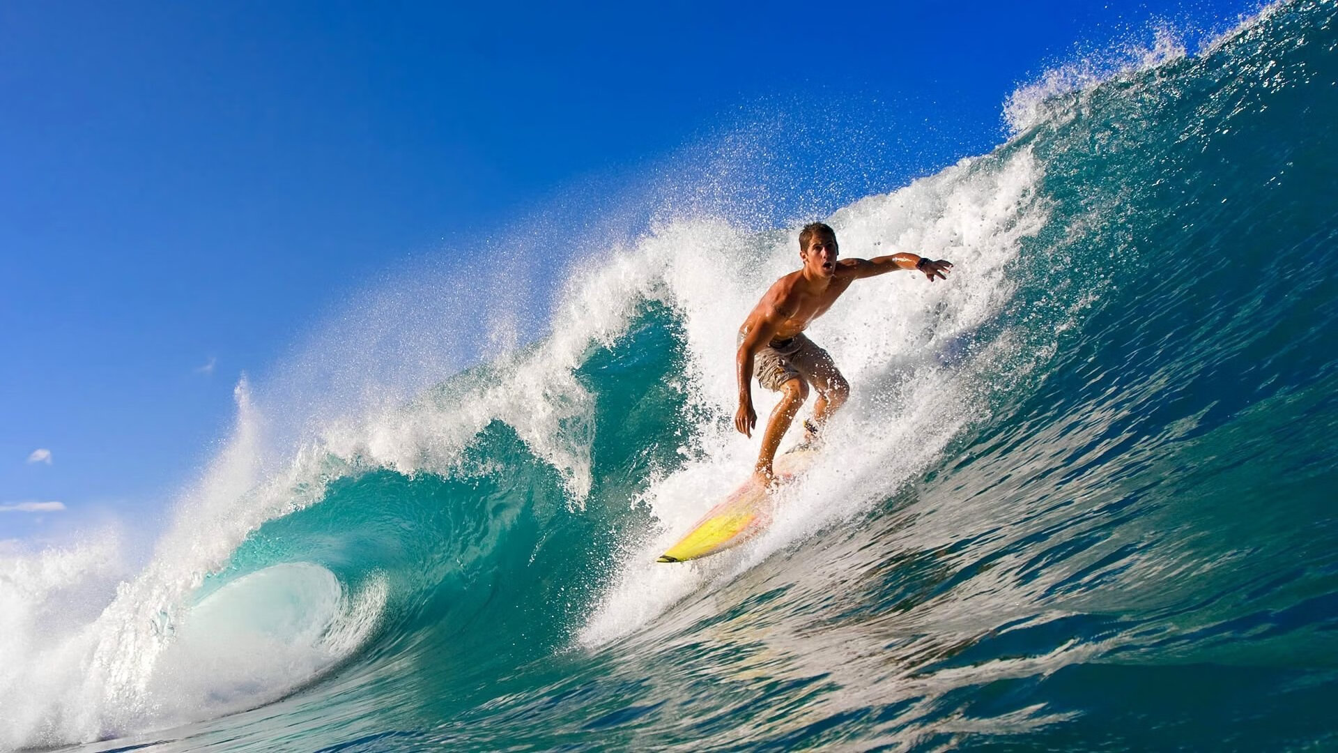 “高新体育中心武术赛:刀枪剑戟展现力量与美学的完美融合”